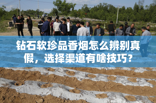钻石软珍品香烟怎么辨别真假，选择渠道有啥技巧？
